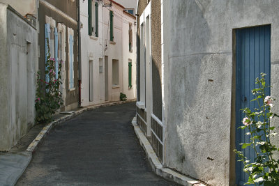 g6/76/720676/3/85318222.ZCF0OVXH.jpg