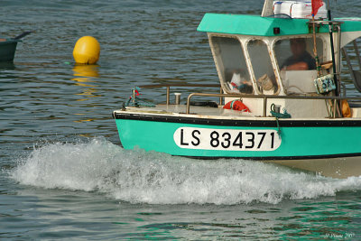 g6/76/720676/3/85541901.MxrKmrT1.jpg