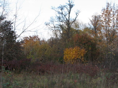 IMG_2122_8_1.JPG