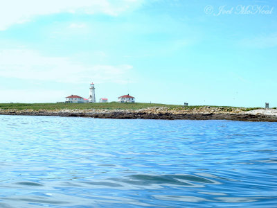 Machias Seal Island