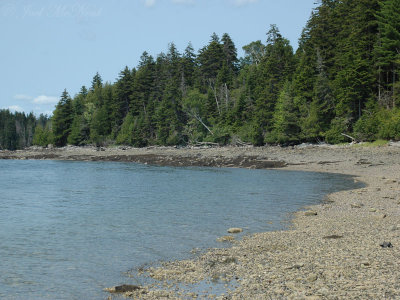 southern shore of Mount Desert Island