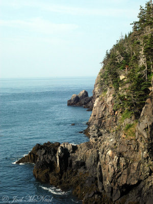 Quoddy Head State Park coast