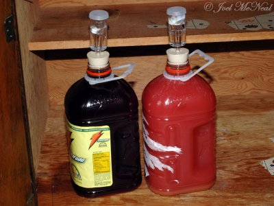 Elderberry and Muscadine wine, secondary fermentation