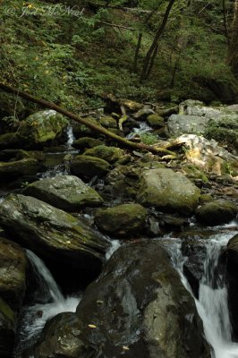 downstream of Anna Ruby Falls