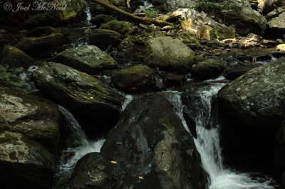 downstream of Anna Ruby Falls