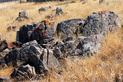 Rocks!