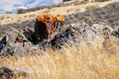 and rocks.