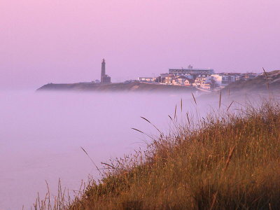 Afternoon fog