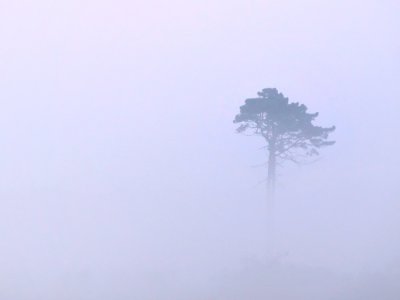 DSCN9810