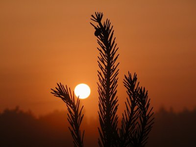 DSCN9832