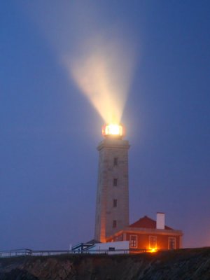 IMG_8003.jpg