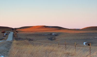 Carnahan Road.jpg