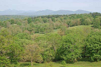 Biltmore Estate - House & Gardens