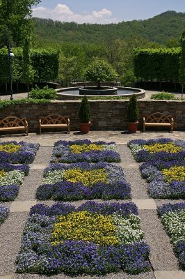 Pansy quilt.