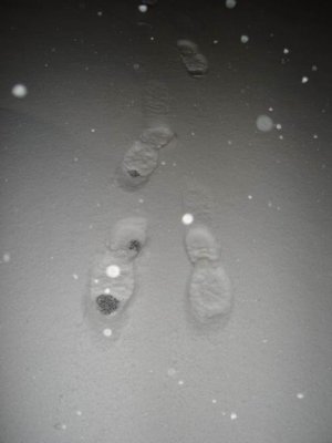 footsteps in the snow