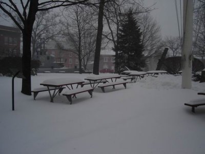 picnic tables