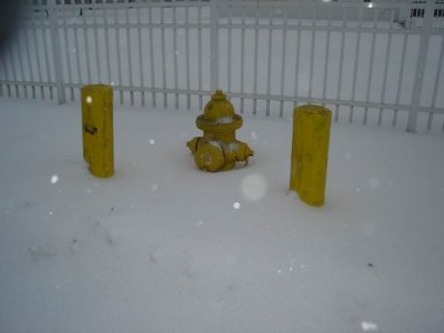 and fire hydrant