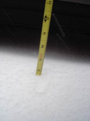 about 8 inches