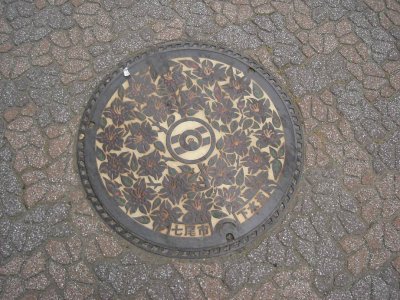 Storm drain cover