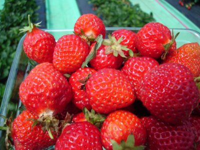 3rd day - Free day - Strawberries, etc...
