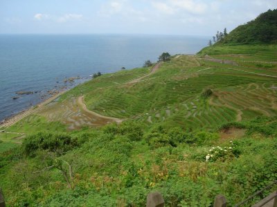 this is Senmaida (ricefields near the ocean)