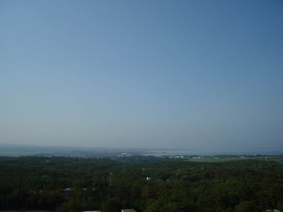 nice morning