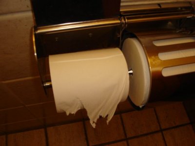 no roll toilet paper