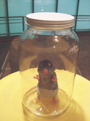Ratatouille2.jpg