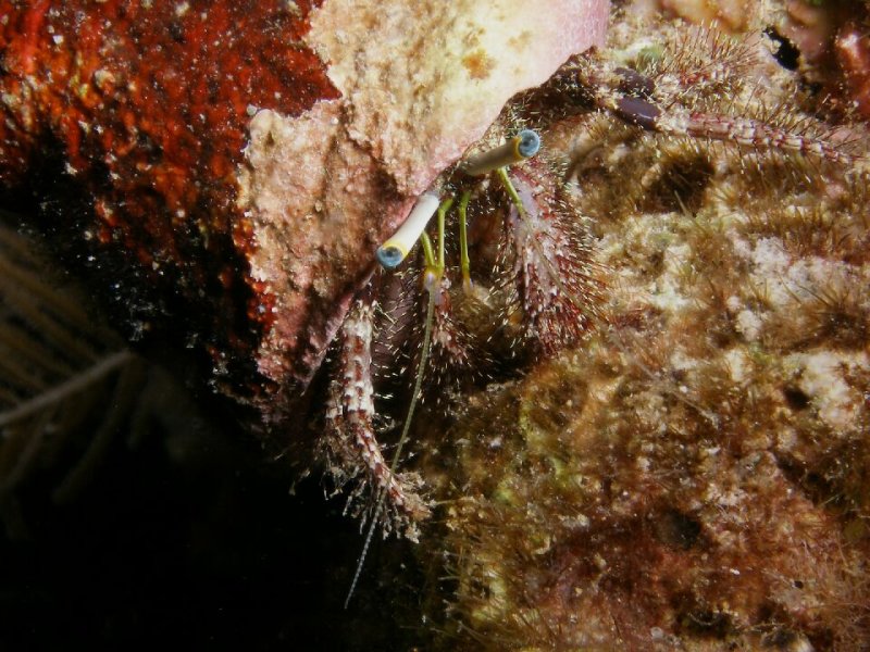 P5288581-a.jpg