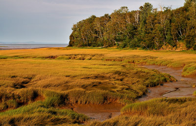 Bay of Fundy near Dellhaven