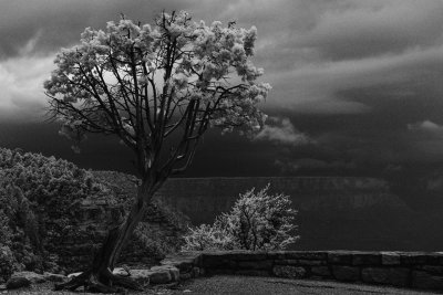 Grandview Lookout before the Storm (IR)