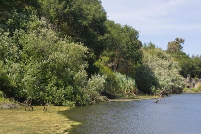 North side of lake