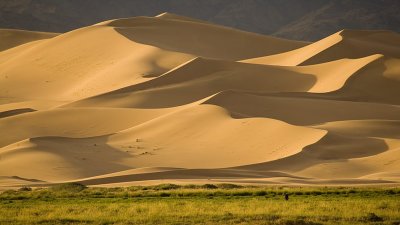 The Gobi Almost Desert