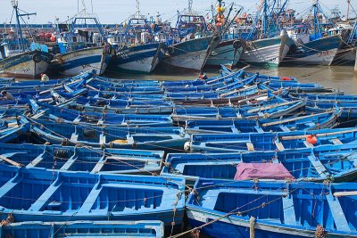 FishingFleet5319SM.jpg