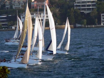 Friday race on Sydney Harbour.jpg