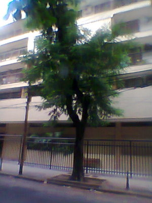 NokiaC2-0200.jpg
