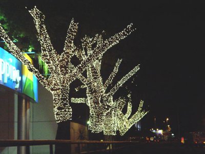 Decorao de Natal - 2006