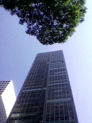 Avenida Central - 05