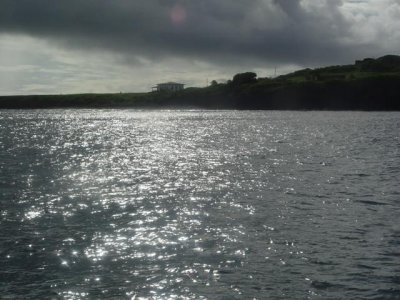 DSC01013.JPG