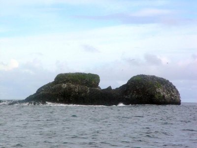 DSC01019.JPG