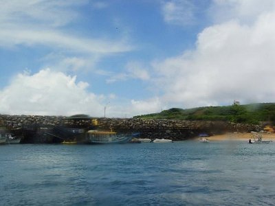 DSC01203.JPG