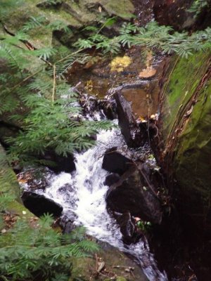 DSC03339.JPG