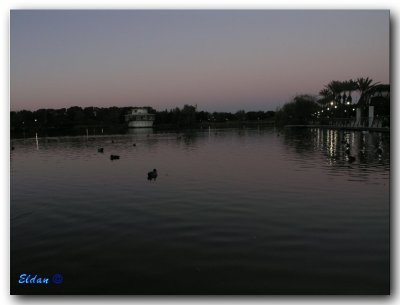 Sunset in the park