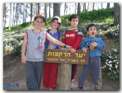Purim 2007 trip