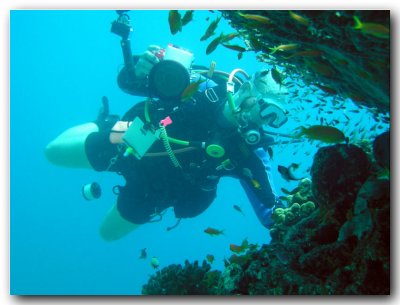 Red sea - Eilat (June_2007)