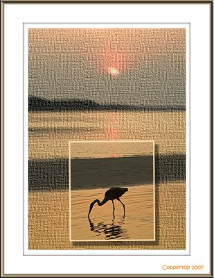 Framed.jpg