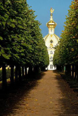 Peterhof (6434)