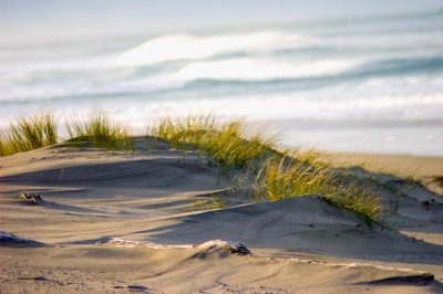 The Beach