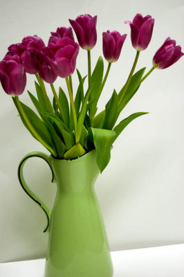 Tulips