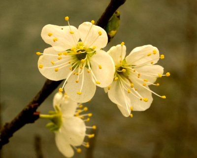 Spring Is In The Air